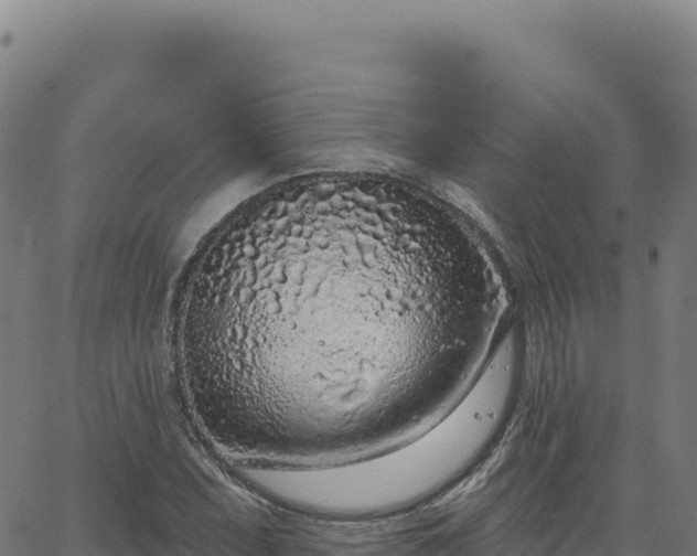 X0000063481071200601271649