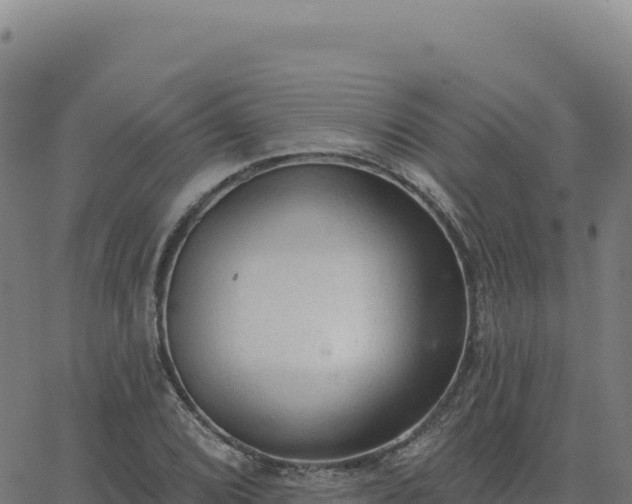 X0000063481072200601271649