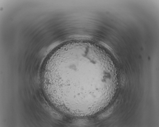 X0000063481074200601271649