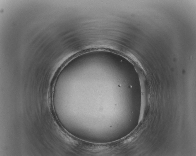 X0000063481076200601271649