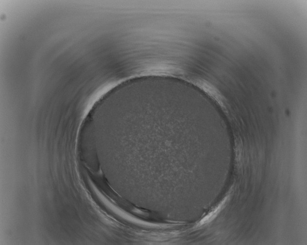 X0000063481077200601271649