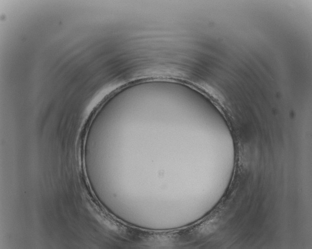 X0000063481078200601271649