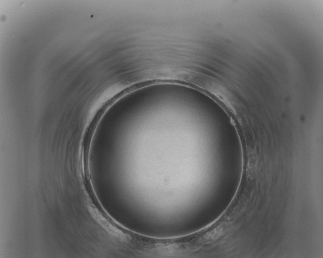 X0000063481080200601271649