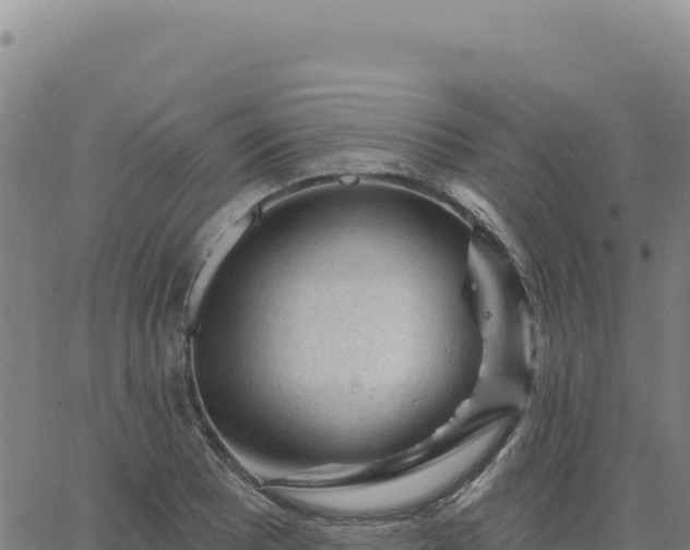 X0000063481081200601271649