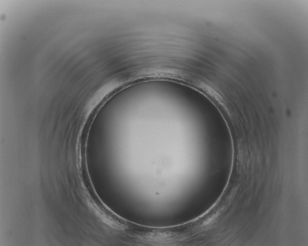 X0000063481082200601271649