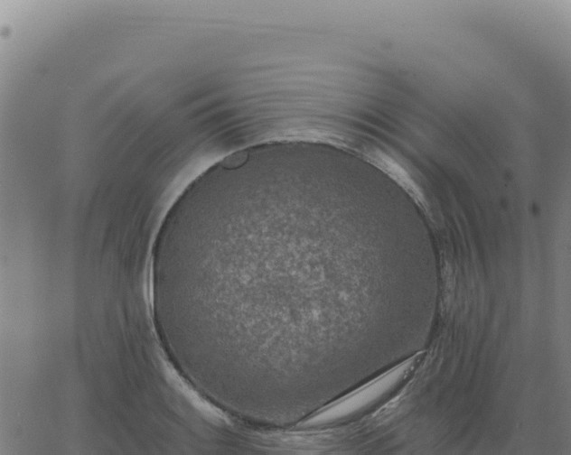 X0000063481084200601271649