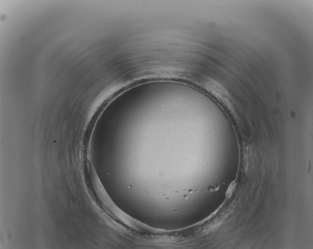 X0000063481085200601271649