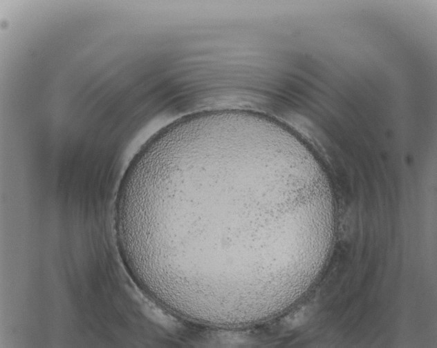 X0000063481086200601271649