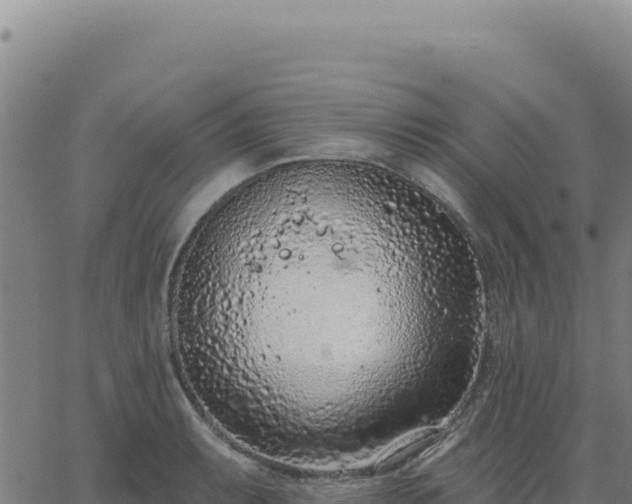 X0000063481087200601271648