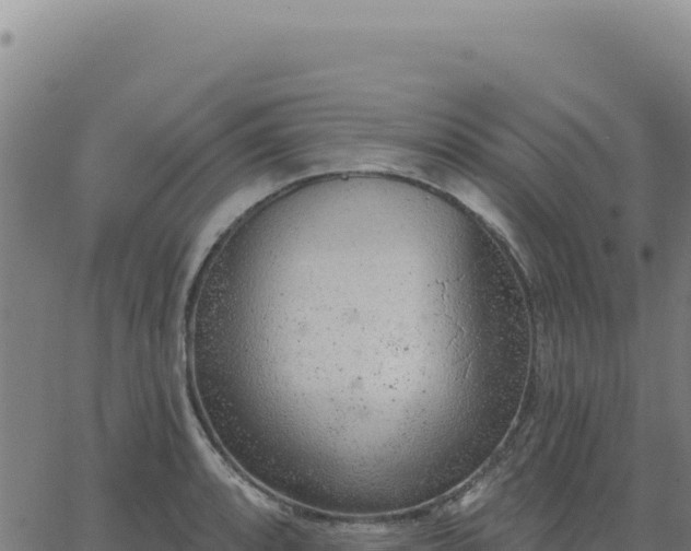 X0000063481088200601271648