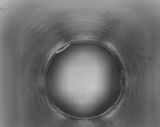 X0000063481089200601271648