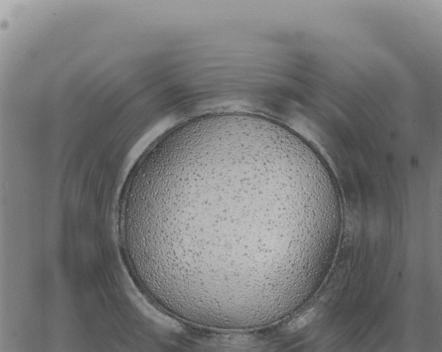 X0000063481090200601271648