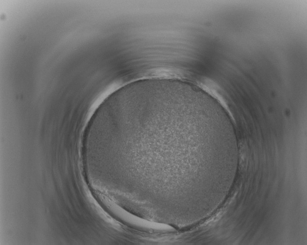 X0000063481091200601271648