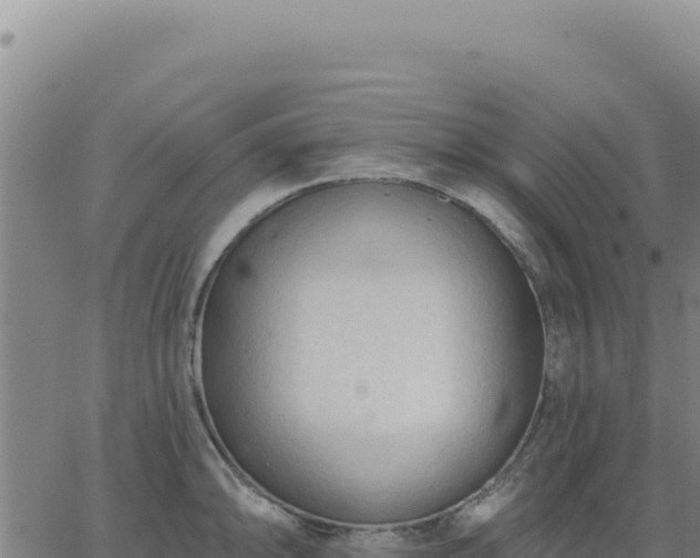 X0000063481094200601271648