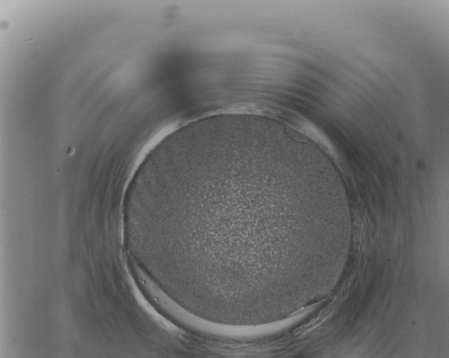 X0000063481095200601271648