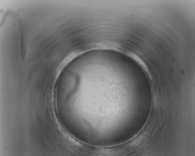 X0000063481096200601271648