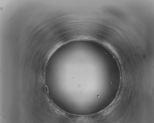 X0000063481097200601271648