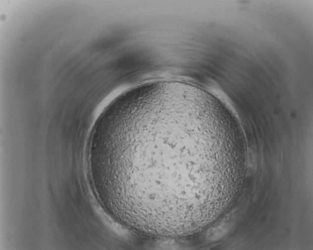 X0000063481098200601271648