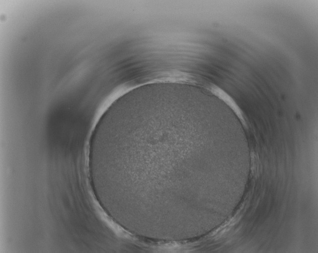 X0000063481099200601271648