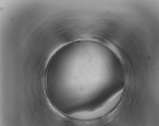 X0000063481100200601271648