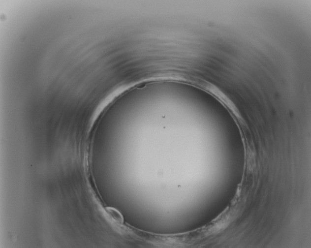 X0000063481101200601271648