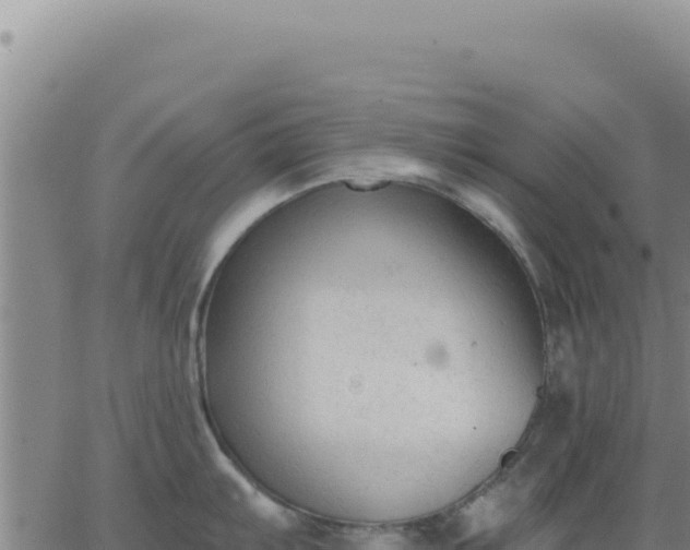 X0000063481103200601271648