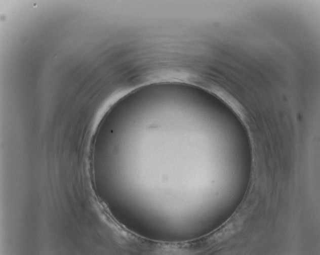 X0000063481104200601271648