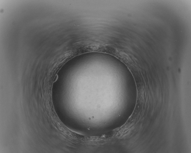 X0000063481105200601271647