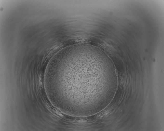 X0000063481106200601271647