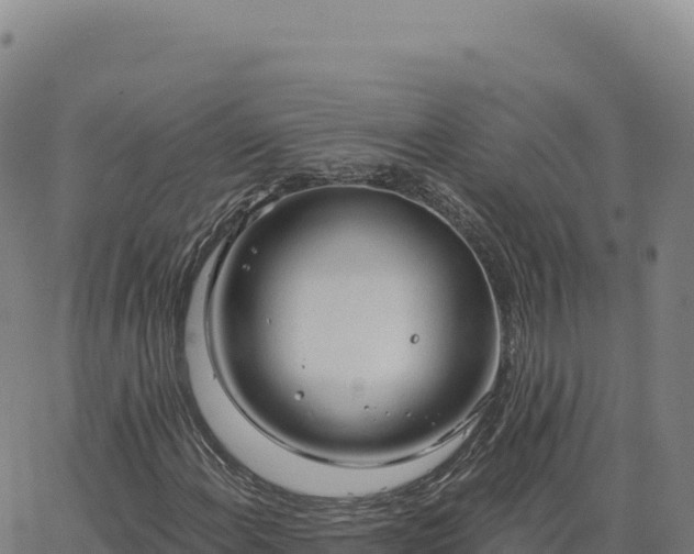 X0000063481108200601271647