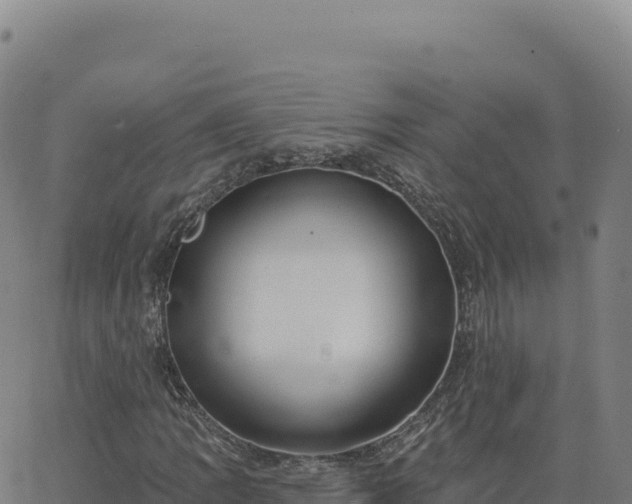 X0000063481109200601271647