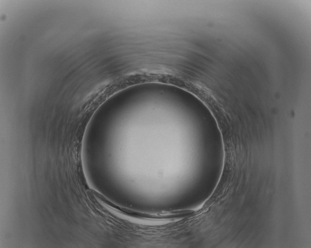 X0000063481110200601271648