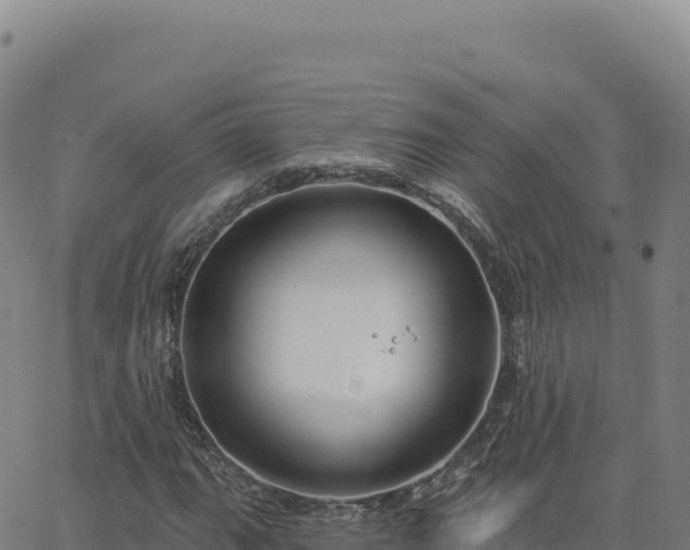 X0000063481111200601271648