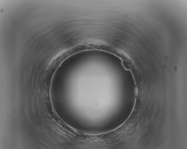 X0000063481112200601271648