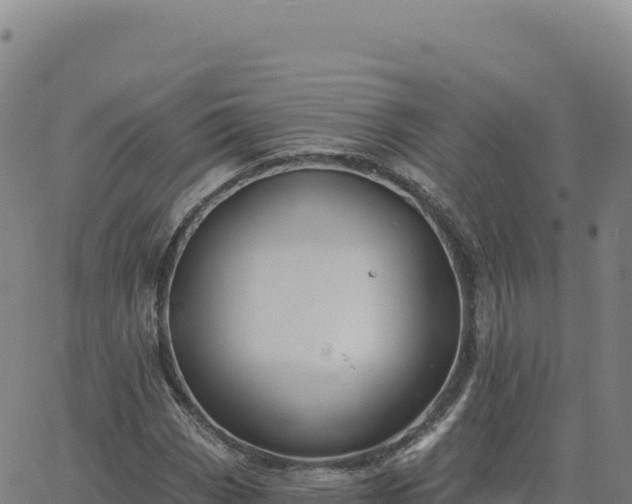 X0000063481113200601271648