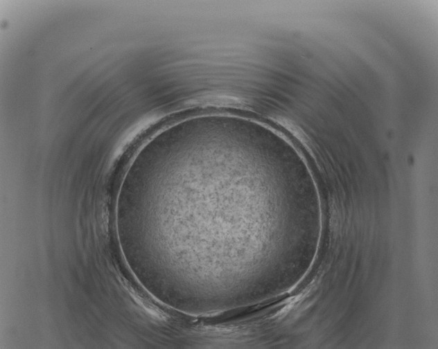 X0000063481115200601271648