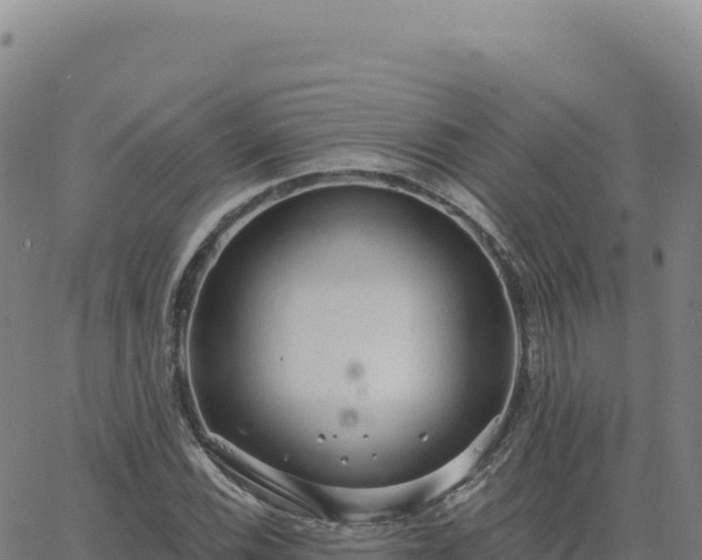 X0000063481116200601271648