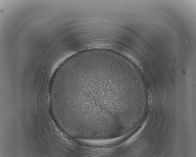 X0000063481117200601271648