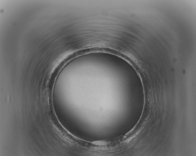 X0000063481118200601271648