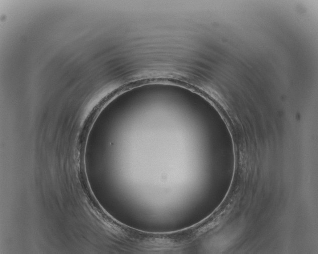 X0000063481119200601271648