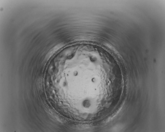 X0000063481121200601271648