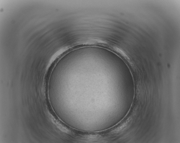 X0000063481122200601271648