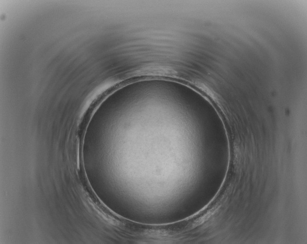 X0000063481123200601271648