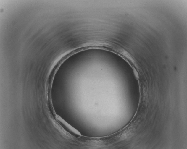 X0000063481124200601271648