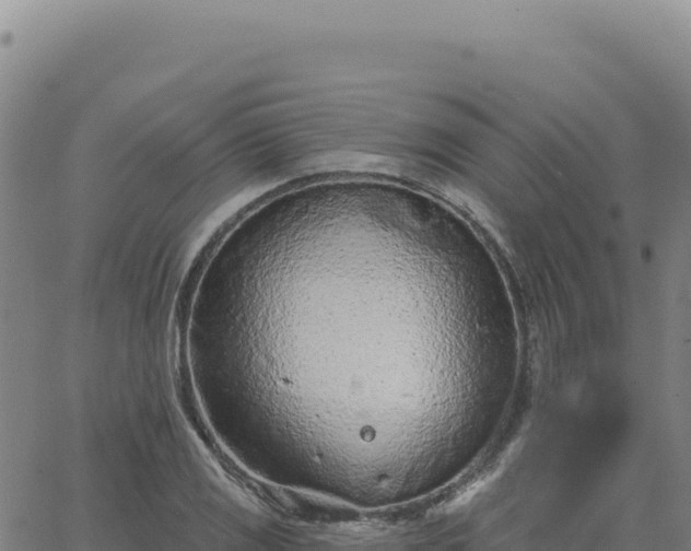 X0000063481125200601271648