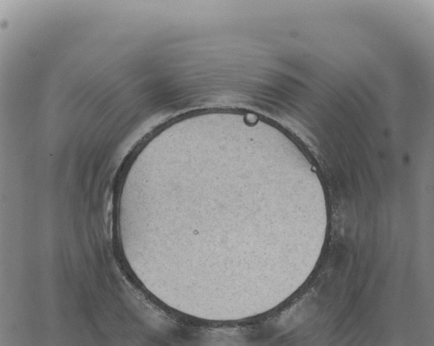 X0000063481126200601271648