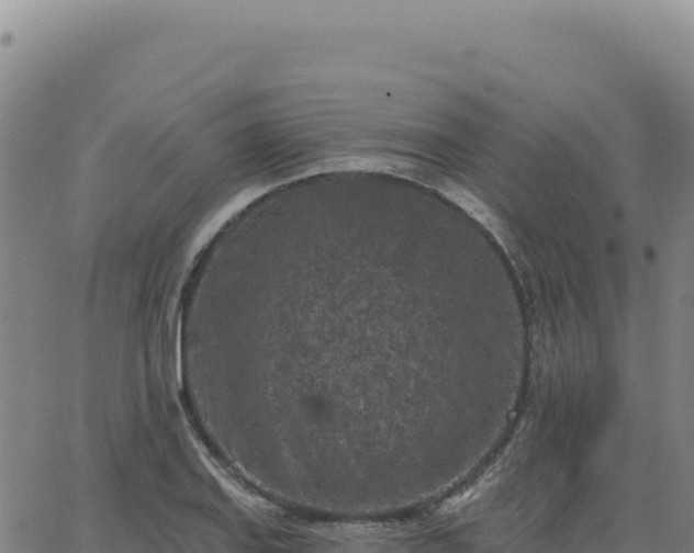 X0000063481127200601271648