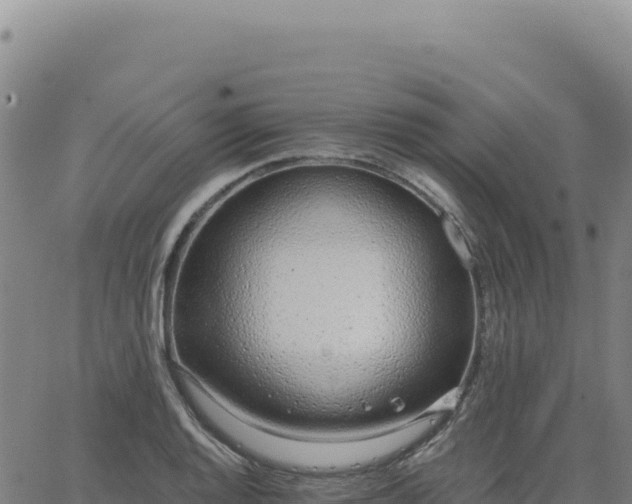 X0000063481128200601271648