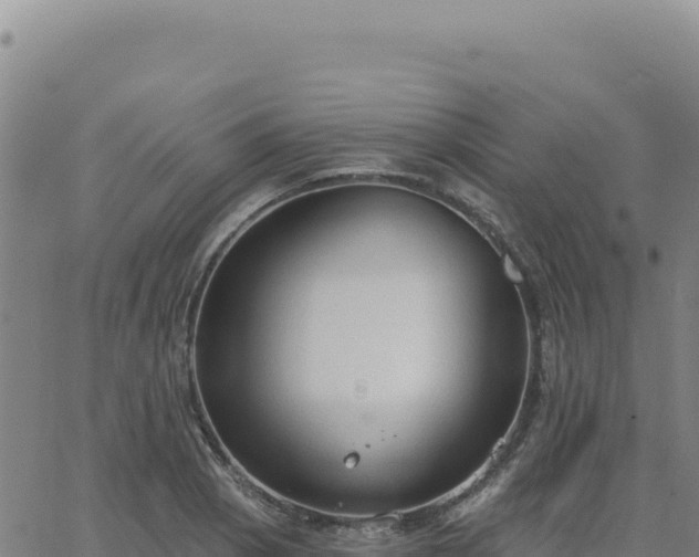 X0000063481129200601271648