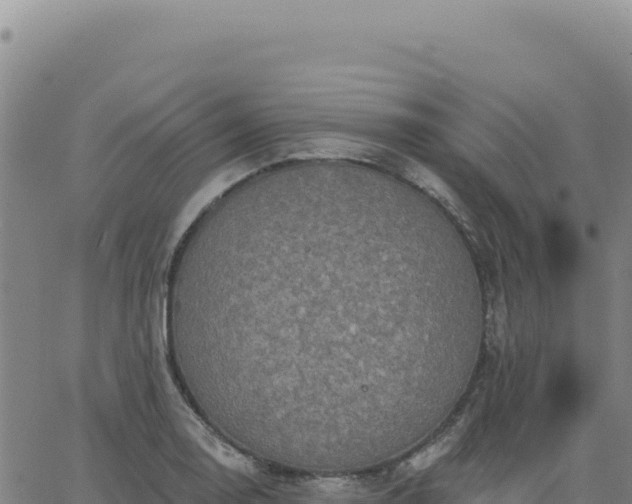 X0000063481130200601271648